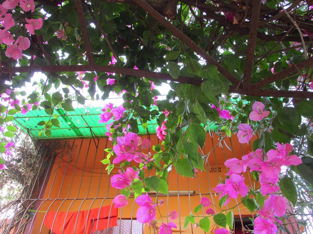 Pubali Homestay Bolpur Exteriér fotografie